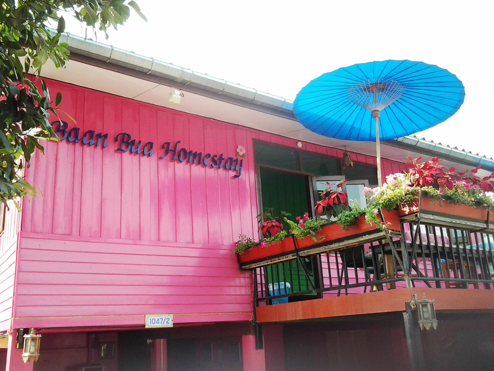 Baan Bua Homestay Chiang Rai Ngoại thất bức ảnh