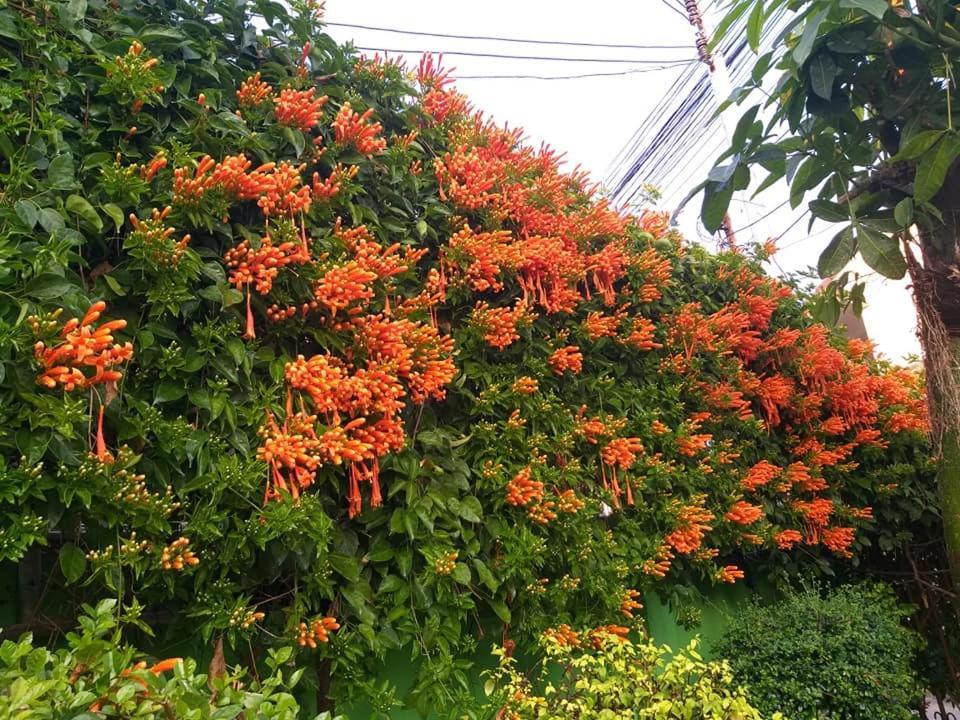 Baan Bua Homestay Chiang Rai Ngoại thất bức ảnh